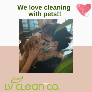 LV Clean – Condo Cleaning for Liberty Village and City Place
